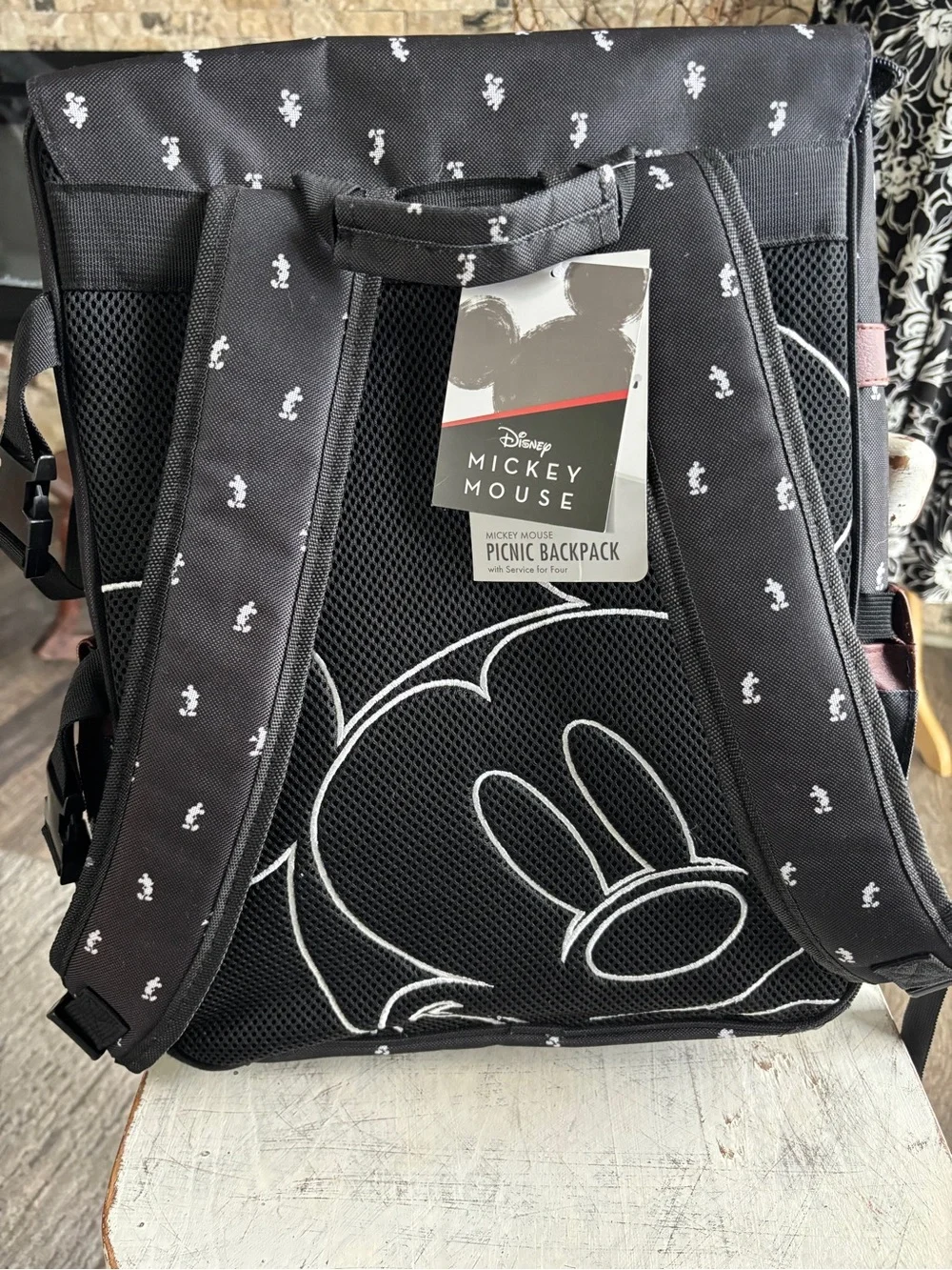 Disney Park Tripper Picnic Backpack with service for 4